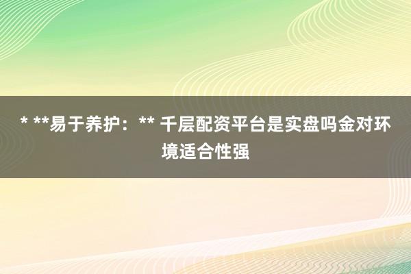 * **易于养护：** 千层配资平台是实盘吗金对环境适合性强
