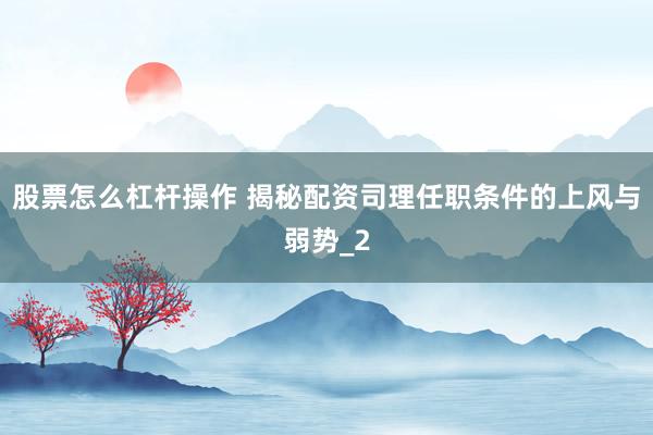 股票怎么杠杆操作 揭秘配资司理任职条件的上风与弱势_2
